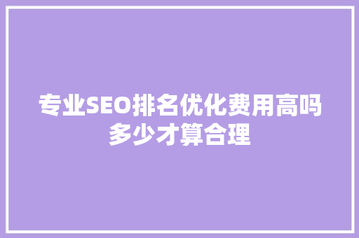 专业SEO排名优化费用高吗多少才算合理