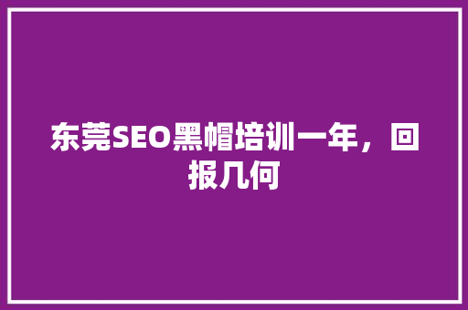 东莞SEO黑帽培训一年，回报几何 网站优化