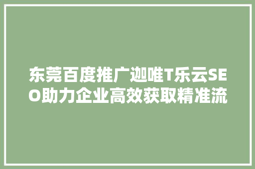东莞百度推广迦唯T乐云SEO助力企业高效获取精准流量