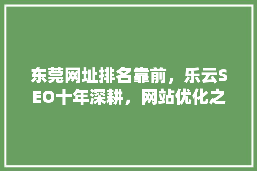 东莞网址排名靠前，乐云SEO十年深耕，网站优化之路