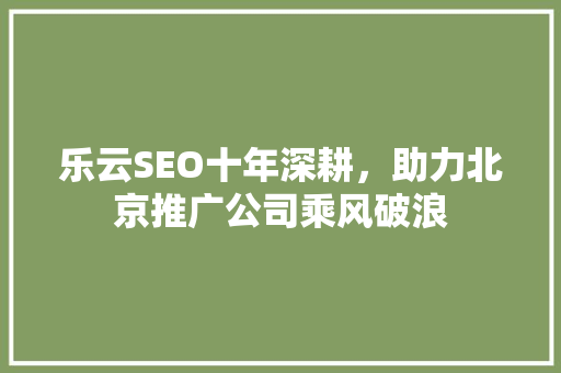 乐云SEO十年深耕，助力北京推广公司乘风破浪 百度算法