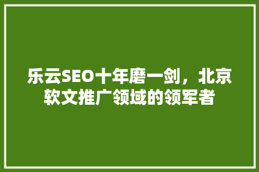 乐云SEO十年磨一剑，北京软文推广领域的领军者