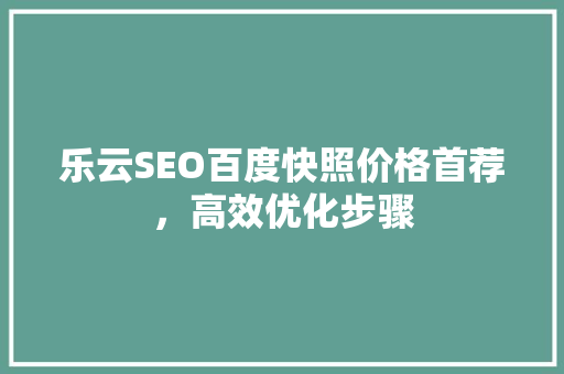 乐云SEO百度快照价格首荐，高效优化步骤 seo技术