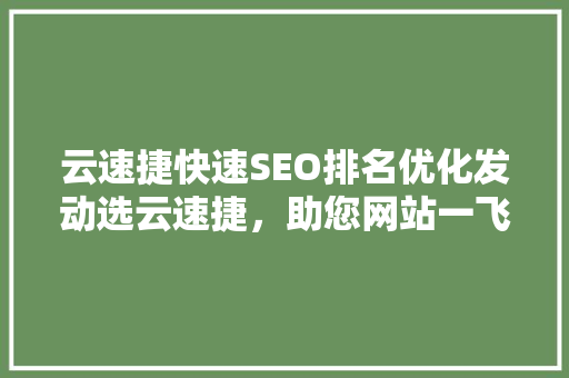 云速捷快速SEO排名优化发动选云速捷，助您网站一飞冲天