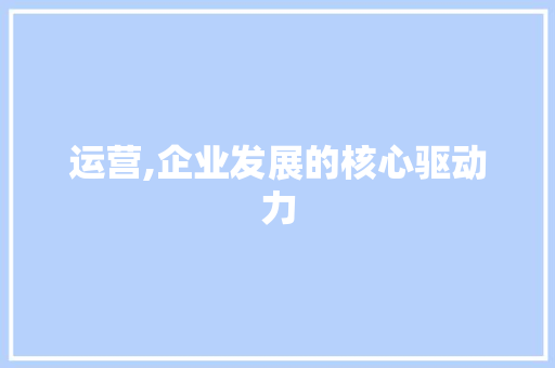 运营,企业发展的核心驱动力