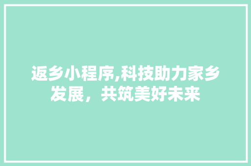 返乡小程序,科技助力家乡发展，共筑美好未来