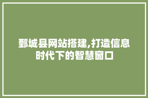 鄄城县网站搭建,打造信息时代下的智慧窗口