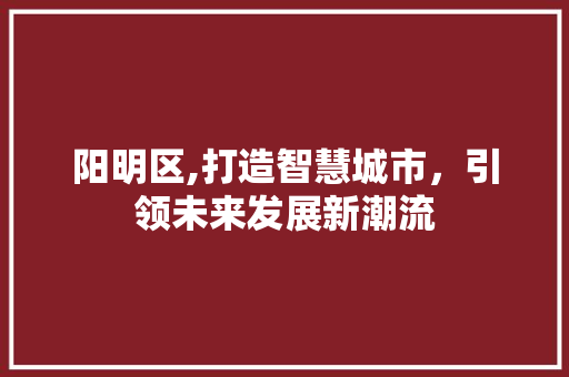 阳明区,打造智慧城市，引领未来发展新潮流
