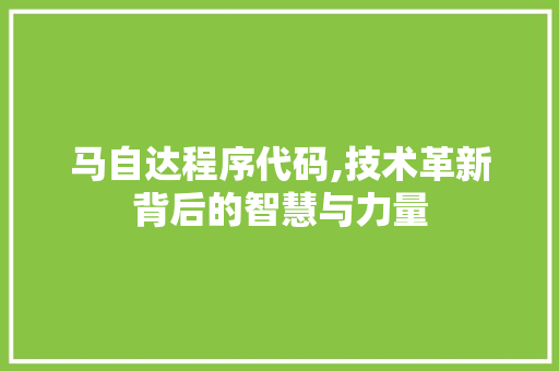马自达程序代码,技术革新背后的智慧与力量 马自达程序代码,技术革新背后的智慧与力量 网站优化