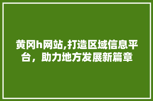 黄冈h网站,打造区域信息平台，助力地方发展新篇章
