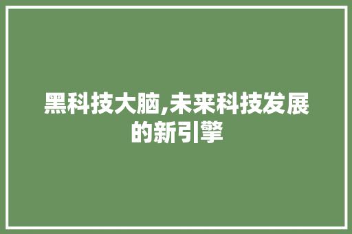 黑科技大脑,未来科技发展的新引擎