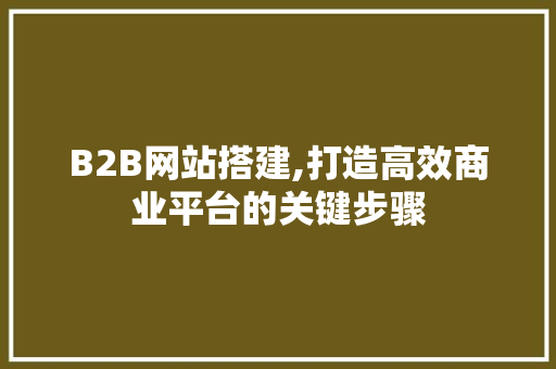 B2B网站搭建,打造高效商业平台的关键步骤