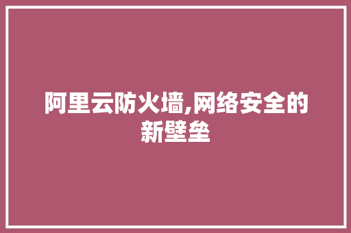 阿里云防火墙,网络安全的新壁垒 阿里云防火墙,网络安全的新壁垒 搜狗优化