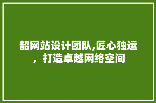 韶网站设计团队,匠心独运，打造卓越网络空间