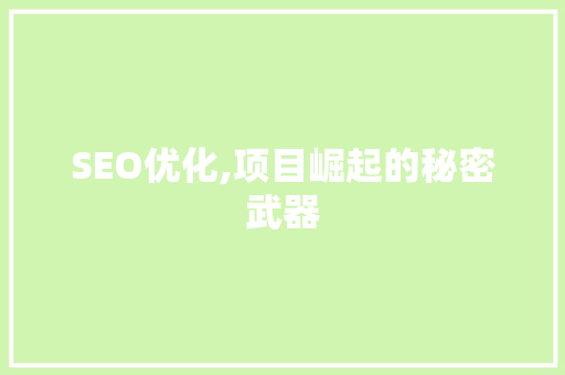 SEO优化,项目崛起的秘密武器