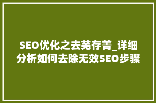 SEO优化之去芜存菁_详细分析如何去除无效SEO步骤