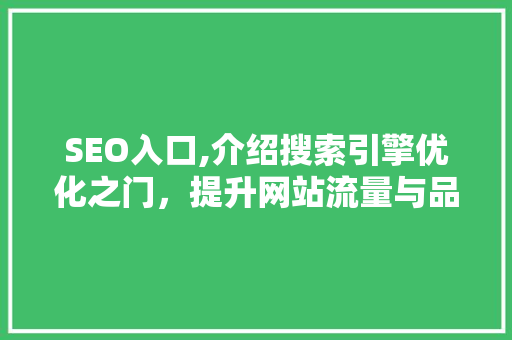 SEO入口,介绍搜索引擎优化之门，提升网站流量与品牌影响力 SEO入口,介绍搜索引擎优化之门，提升网站流量与品牌影响力 seo技术