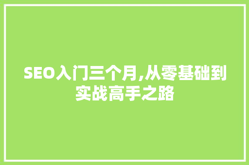 SEO入门三个月,从零基础到实战高手之路 SEO入门三个月,从零基础到实战高手之路 AI技术学习