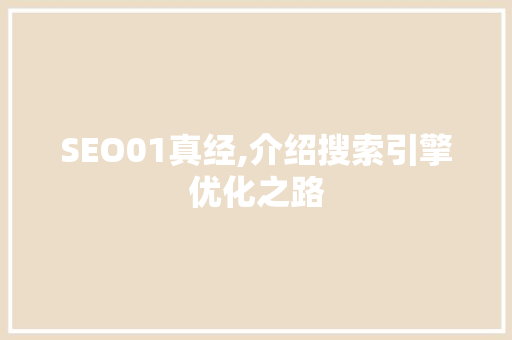 SEO01真经,介绍搜索引擎优化之路
