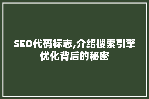 SEO代码标志,介绍搜索引擎优化背后的秘密 SEO代码标志,介绍搜索引擎优化背后的秘密 AI技术学习