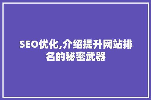 SEO优化,介绍提升网站排名的秘密武器