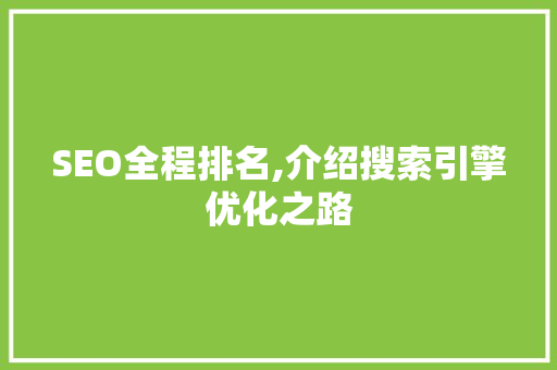 SEO全程排名,介绍搜索引擎优化之路 SEO全程排名,介绍搜索引擎优化之路 网站优化