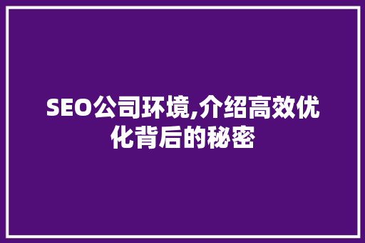 SEO公司环境,介绍高效优化背后的秘密 SEO公司环境,介绍高效优化背后的秘密 网站优化