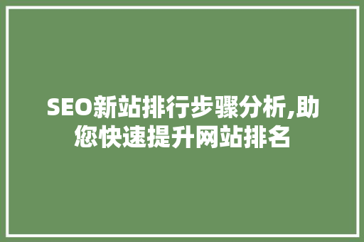 SEO新站排行步骤分析,助您快速提升网站排名 SEO新站排行步骤分析,助您快速提升网站排名 百度算法