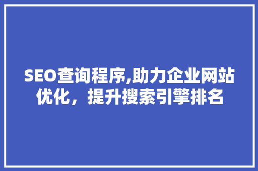 SEO查询程序,助力企业网站优化，提升搜索引擎排名