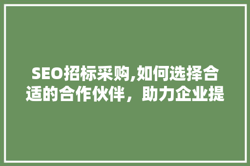 SEO招标采购,如何选择合适的合作伙伴，助力企业提升网络竞争力