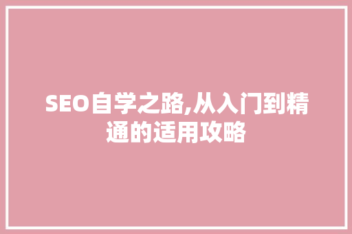 SEO自学之路,从入门到精通的适用攻略