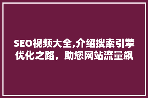 SEO视频大全,介绍搜索引擎优化之路，助您网站流量飙升