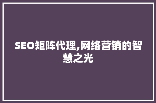 SEO矩阵代理,网络营销的智慧之光