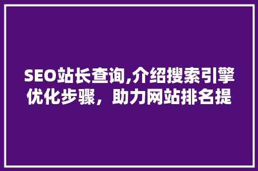 SEO站长查询,介绍搜索引擎优化步骤，助力网站排名提升 SEO站长查询,介绍搜索引擎优化步骤，助力网站排名提升 网站优化