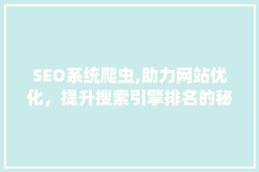 SEO系统爬虫,助力网站优化，提升搜索引擎排名的秘密武器