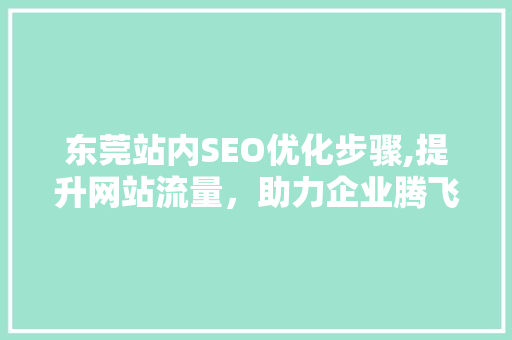 东莞站内SEO优化步骤,提升网站流量，助力企业腾飞