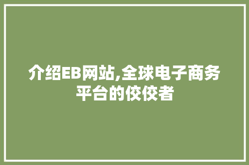 介绍EB网站,全球电子商务平台的佼佼者