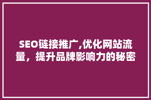 SEO链接推广,优化网站流量，提升品牌影响力的秘密武器