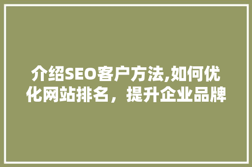 介绍SEO客户方法,如何优化网站排名，提升企业品牌影响力