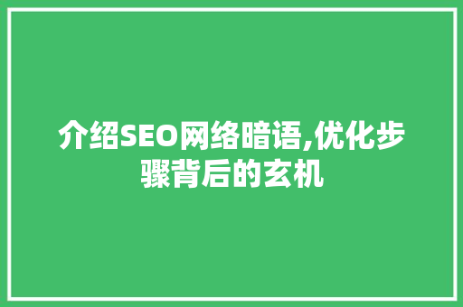介绍SEO网络暗语,优化步骤背后的玄机
