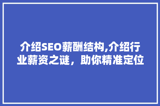 介绍SEO薪酬结构,介绍行业薪资之谜，助你精准定位职业发展