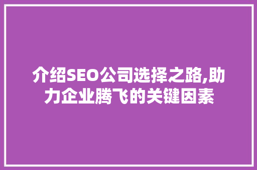 介绍SEO公司选择之路,助力企业腾飞的关键因素
