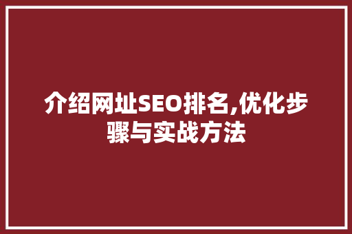 介绍网址SEO排名,优化步骤与实战方法