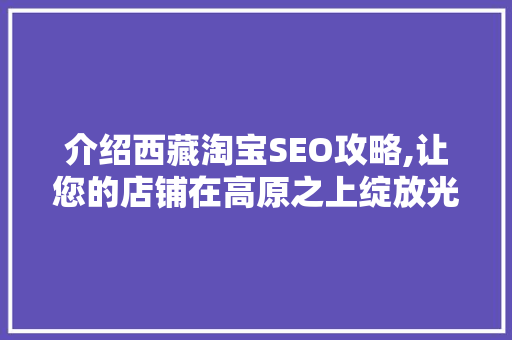 介绍西藏淘宝SEO攻略,让您的店铺在高原之上绽放光彩
