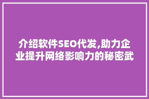 介绍软件SEO代发,助力企业提升网络影响力的秘密武器