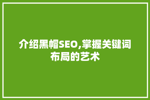 介绍黑帽SEO,掌握关键词布局的艺术
