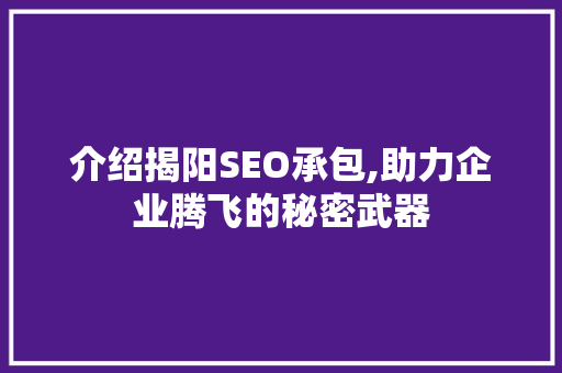 介绍揭阳SEO承包,助力企业腾飞的秘密武器