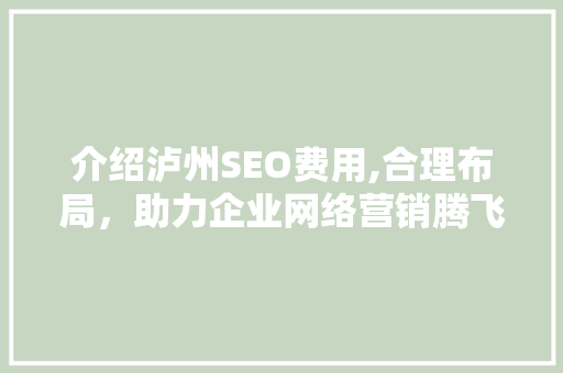 介绍泸州SEO费用,合理布局，助力企业网络营销腾飞