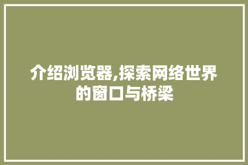 介绍浏览器,探索网络世界的窗口与桥梁
