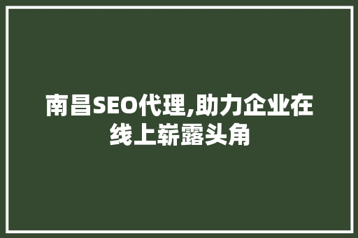 南昌SEO代理,助力企业在线上崭露头角